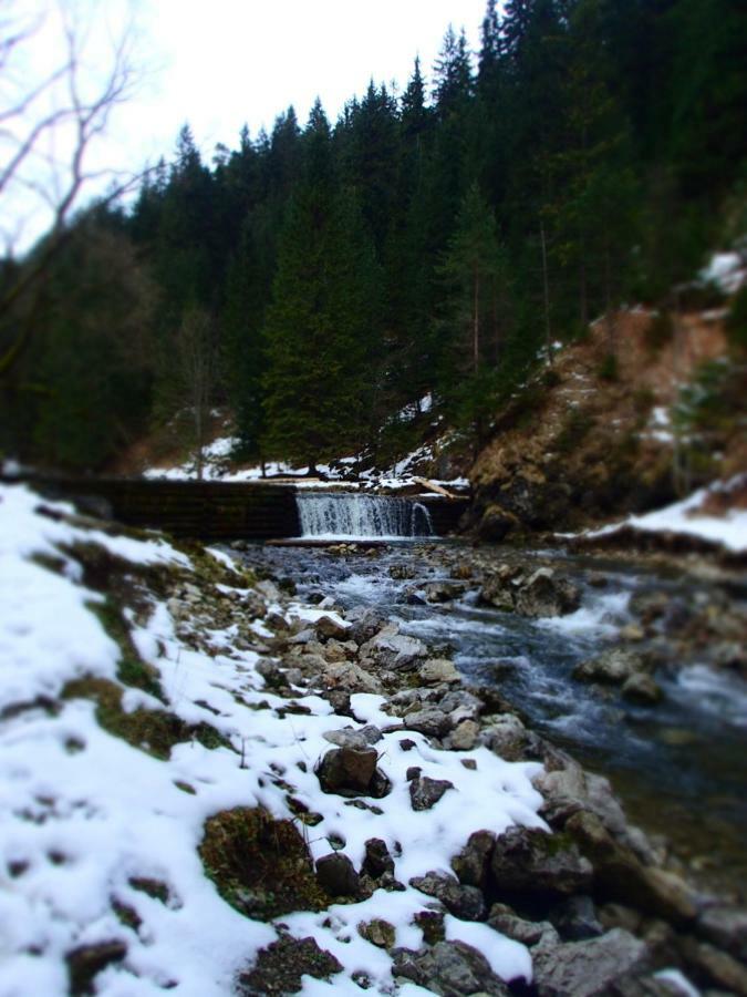 Villa Rekreacny Dom Sablatura Zuberec Esterno foto